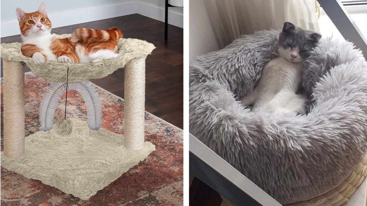 8 Purrfect Cat Beds & Hammocks That Will Make Your Feline Friend Feel