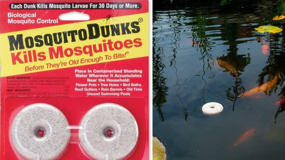 Banish Mosquito Woes with Mosquito Dunks Your Ultimate Weapon Against