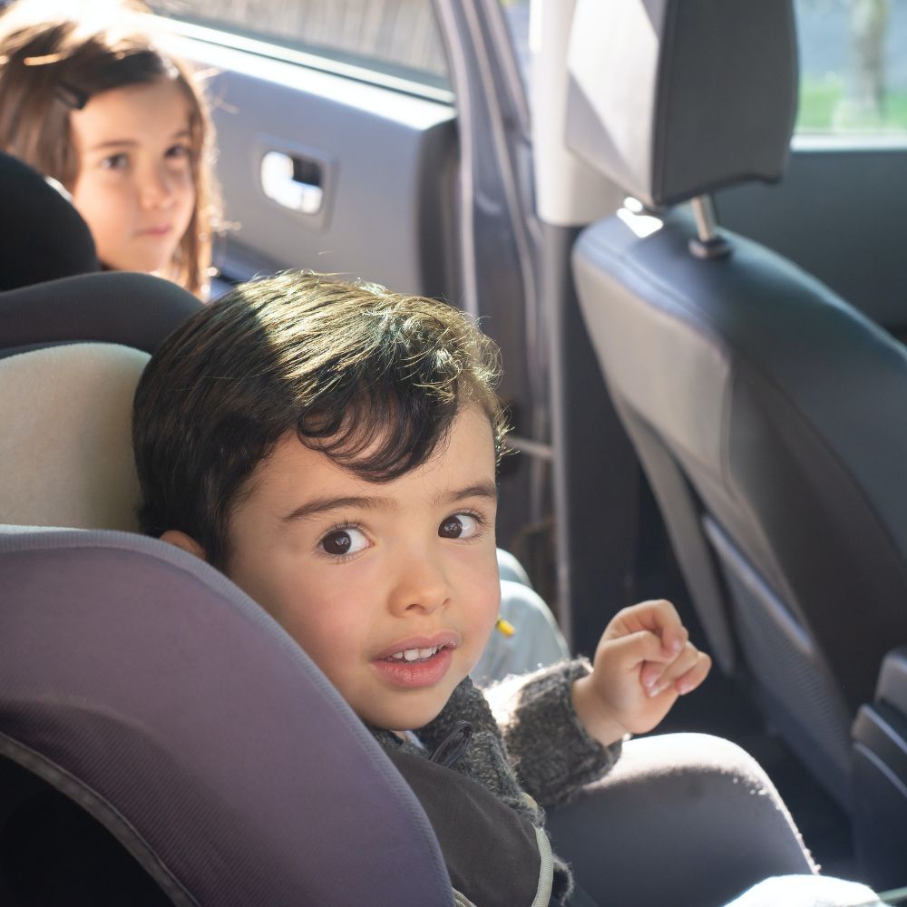 Backseat Car Organize