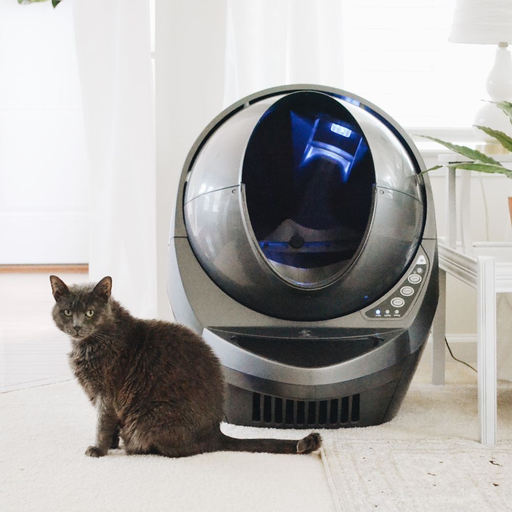 The Best Self Cleaning Litter Box That Can Save You Time And Headaches- We Have 5 For You!