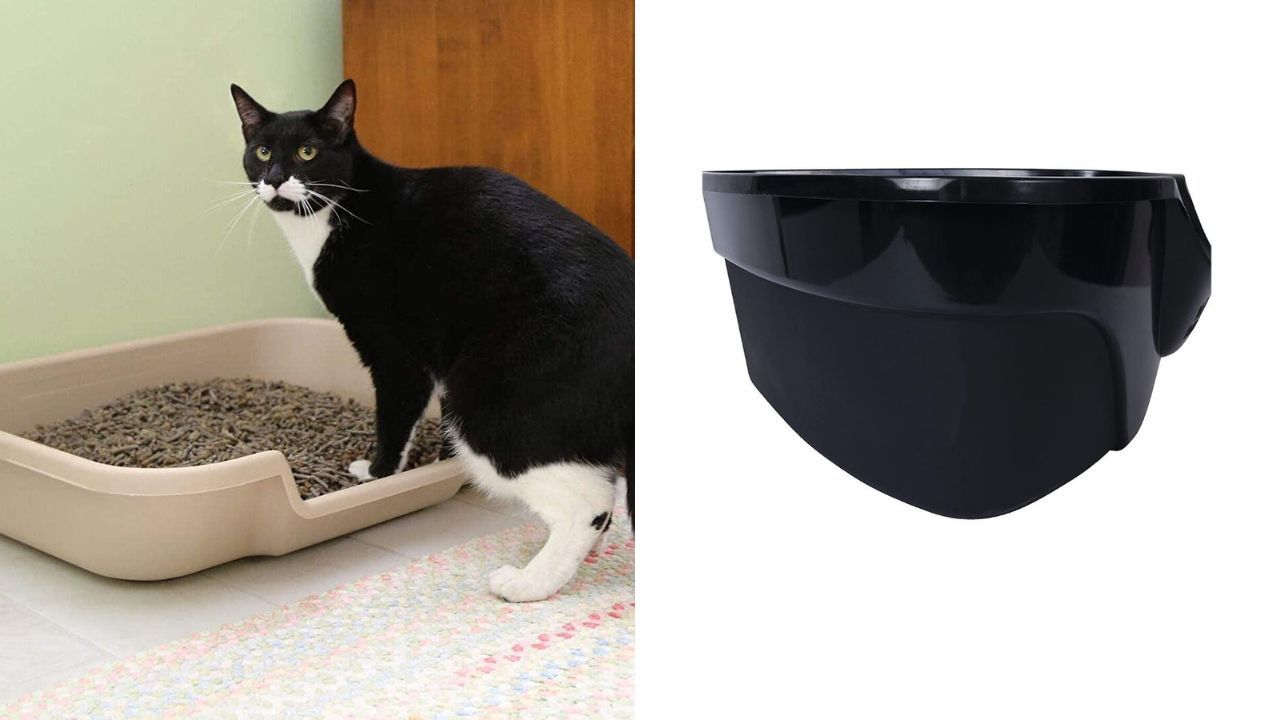 Get The Best Litter Box For Your Cat- Your Cat Will Thank You!