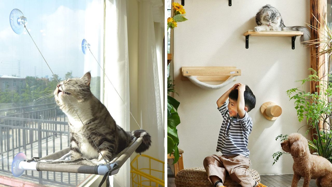 Elevate Your Cat's Playtime and Territory: Explore the Purr-fect World of Cat Wall Furniture!