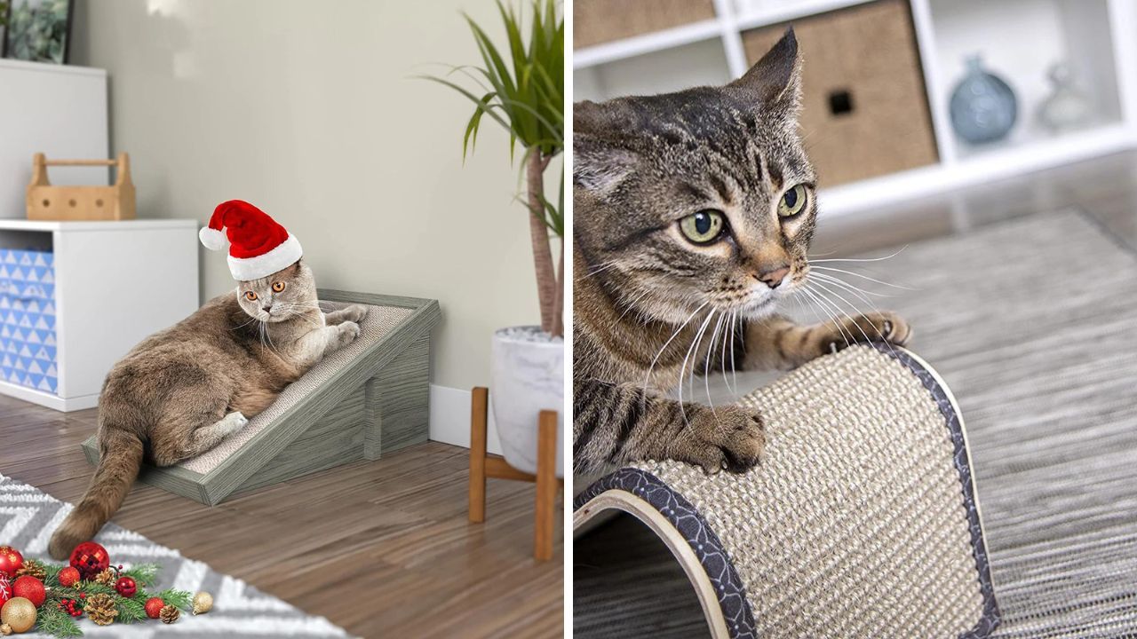 Savvy Strategies To Keep Your Cat From Turning Your Furniture Into A Scratch Pad