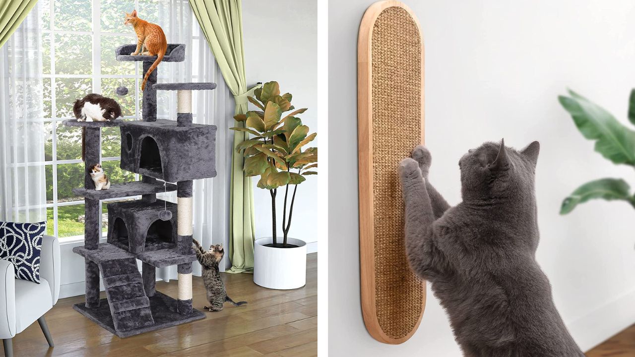 8 Cat Trees & Scratching Posts That Will Make Your Furry Friend Purr With Joy!