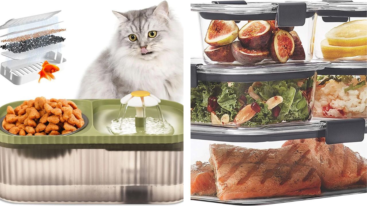 The Purr-fect Guide to Feeding Your Cat Human Foods: Keep Your Kitty and Yourself Safe!