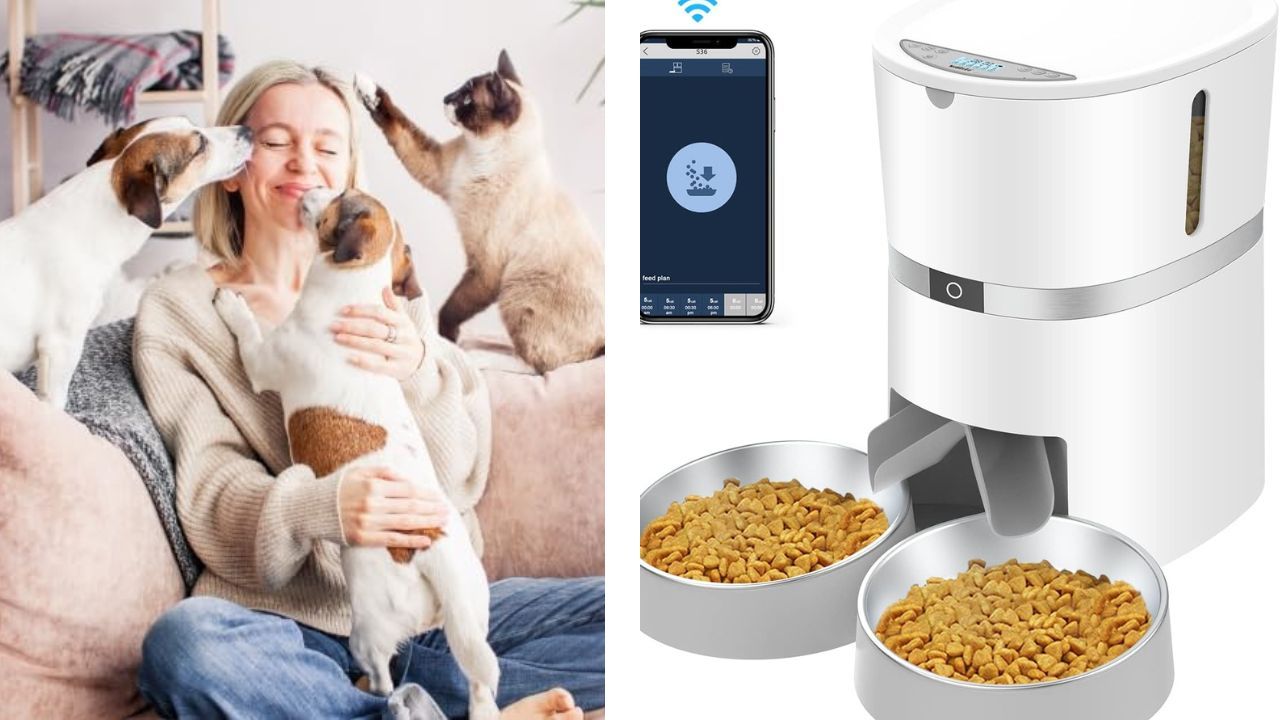 It's Time To Elevate Pet Care To New Heights And Embrace The Convenience That Smart Feeders Foster!