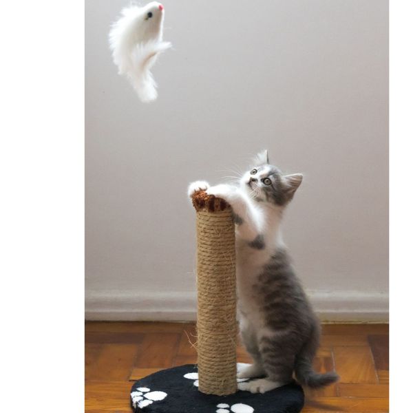 The 5 Best Cat Toys For You And Your Little Furry Loved One