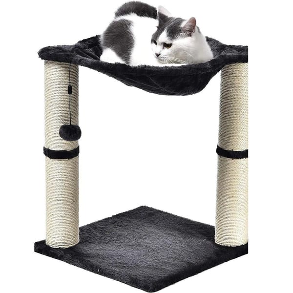 The Best Cat Scratching Post For Your Cat To Relieve Stress We Can