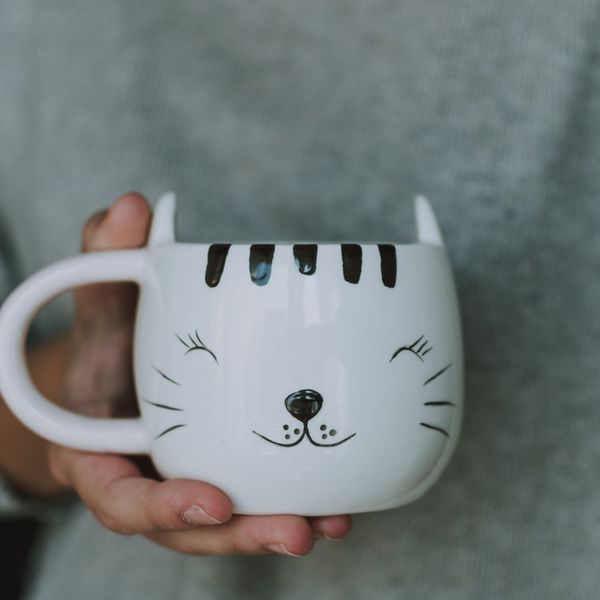 The Best Cat Mug For All Of The People Who Are Cat Lovers And Then Some....