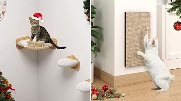 Cat Furniture That Is Needed And Will Keep Your Cat Entertained!