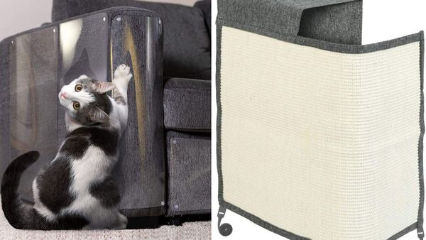 Purrfect Solutions To Keep Your Cat From Clawing Your Couch To Pieces!