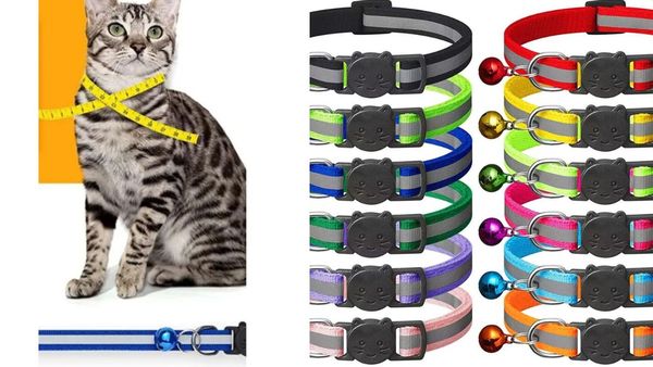 Test Your Cat Collar Knowledge: We Bet You Don't Know How Tight It Should Be