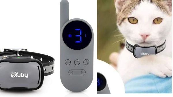 You Won't Believe How Shock Collars Work On Your Cat—We Did the Research So You Don't Have To!