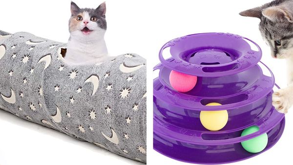 Meowch! Your Cat Will Love You For Getting Them This Purrfect Cat Tunnel and Exerciser