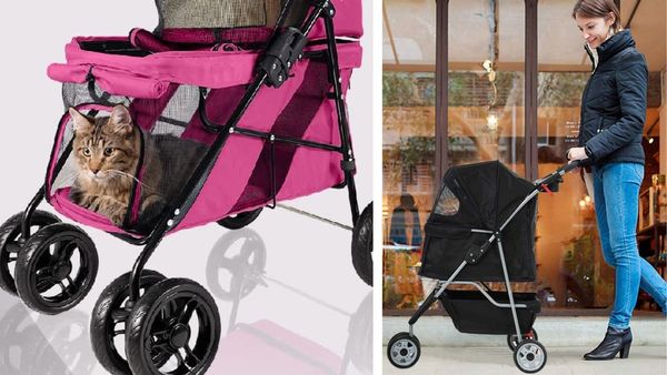 Get The Best Cat Stroller So You Can Get The Mental Stimulation That You Deserve-We Have 4 Of Them