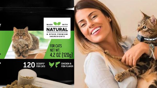 Get Hairball Relief For Your Cat Today And Your Cat Will Be Thanking You Tomorrow-We Have 5 Remedies For You!