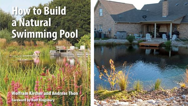 Make A Splash With Mother Nature: Here's How To DIY Your Very Own Natural Swimming Pool