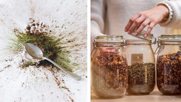 Explore tea mixing to unlock tantalizing flavors and enrich your sipping experience