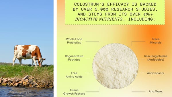 Choose colostrum supplements with purity, high immunoglobulin content, and third-party testing.